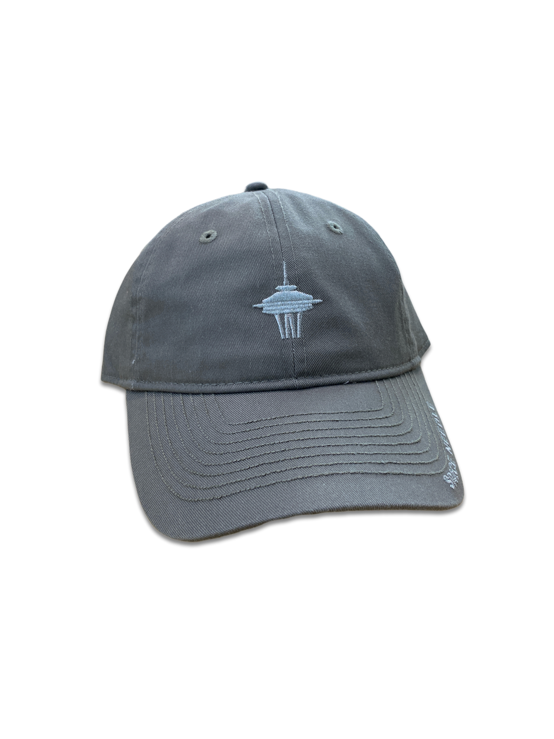 Space Needle Top House Hat